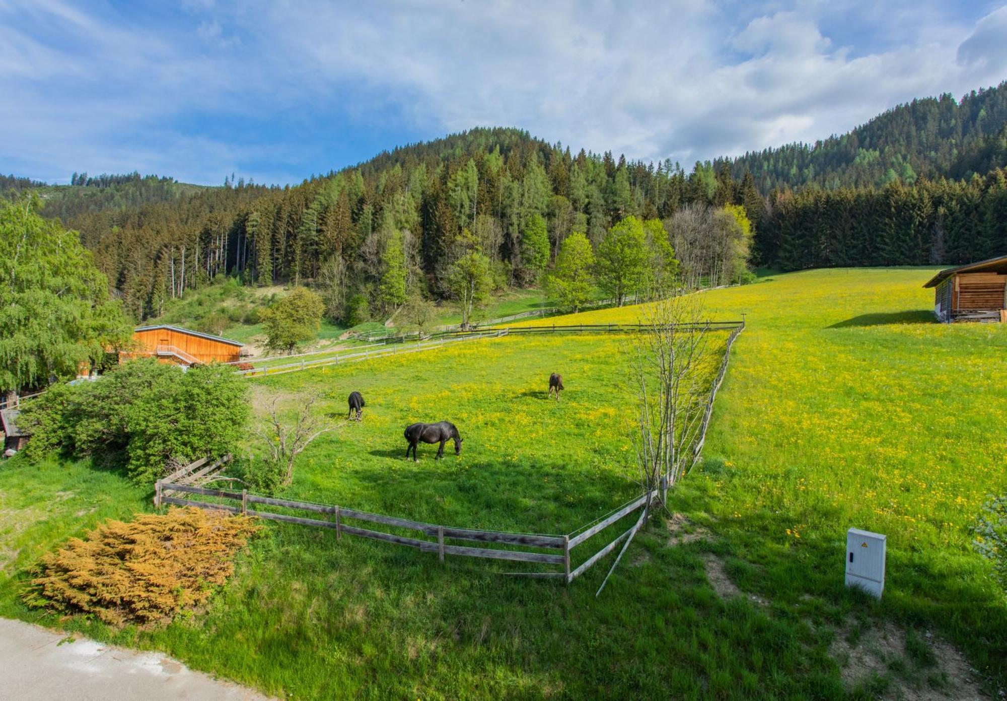 Huberhof 1 By Alpenidyll Apartments Schladming Exterior foto
